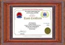 Сертификат о почетном звании Гранд Мастера - Сергей Тыщенко