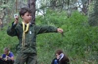 Летний детский лагерь «Сталкер 2015»