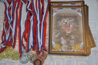 Соревнования по Палочному бою