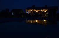 Новость от 19.11.2015