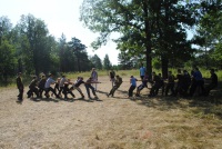 Новость от 19.11.2015