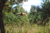 Новость от 19.11.2015