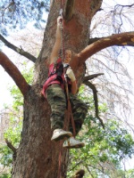 Новость от 19.11.2015